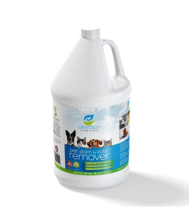 Aesroson Pet Stain and Odor Eliminator Spray - 3-in-1 Formula Natural Pet Odor Spray- All-Purpose Carpet Deodorizer for Pet Urine, Floor Cleaner, Fabric Stain Remover Enzyme Cleaner 32 fl oz (Gallon)