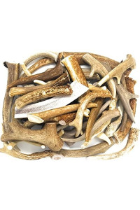 Big Dog Antler Chews Premium Antlers for Dogs -1 Pound Bulk Pack - All Natural Organic Antler Dog Chews - Sourced in The USA