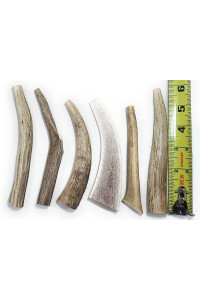 Big Dog Antler Chews 6 Pack for Small Dogs | All Natural Organic Deer and Elk Antler Dog Chews | 0 to 20 Pounds