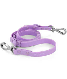 Waterproof Dog Leash: Standard Dog leashes with 2 Hooks for Walking, Adjustable Lengths for Traffic control Safety, Durable and Odor Proof, for Medium Large Dogs (S12 in A 5 ft,Lilac)