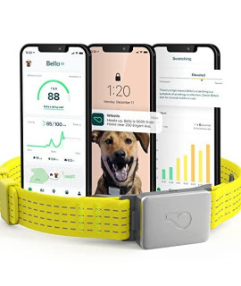 Whistle GPS + Health + Fitness - Smart Dog Collar, Waterproof Dog GPS Tracker Plus Health & Fitness Monitor, 24/7 Pet Tracker, 2 Rechargeable Batteries, Switch (Newest Model), (Yellow), S/M