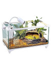Reptile Terrarium Glass Turtle Tank with Terrace, Pump and Plants 31.514.613.8 Inch One-Click Water Change (White)