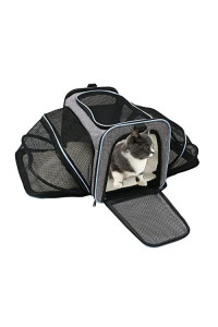 Cat Dog Carrier Airline Approved Soft Sided Pet Carrier 2 Sides Expandable Cat Collapsible Travel Carrier with Removable Fleece Pad for Cats Dogs and Small Animals (Large, Blue)
