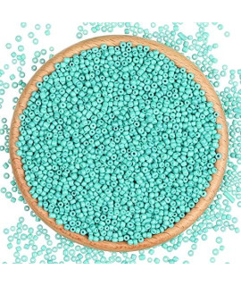 TIANNAY 10000pcs 2mm 120 glass Seed Beads Bulk Mini Spacer Beading for DIY Jewelry Making Multicolor Opaque Loose Pony Beads for Wrist Bracelet Earring Necklace, Light green
