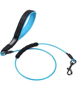 Vivaglory Chew Proof Dog Leash With Reflective Padded Handle, 4Ft Heavy Duty Coated Steel Cable Lead With Soft Foam Handle For Large Dogs Teething Puppies, Blue