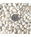 Ruiuzioong Polished Pebble Gravel, Natural Mixed Coloured Polished Stones, Small Decorative River Rock Stones (White-1kg)