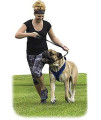 ActiveDogs Fleece Dog Harness for Easy Walking, Adjustable No-Pull Gentle Walker (Small (Girth 17"-22"), Blue)