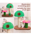 Sasapet Cat Scratching Post, Mushroom Claw Scratcher Small Cat Tree House Traning Interactive Toys for Indoor Kittens, Cats (Green)