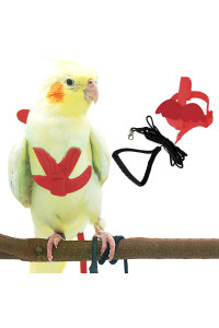 Dnoifne Pet Parrot Bird Harness and Leash, Adjustable Training Design Anti-Bite, Bird Nylon Rope with cute Wing for Parrots, Suitable for Scarlet, Keck, Mini Macaw and Same Size Birds (red)