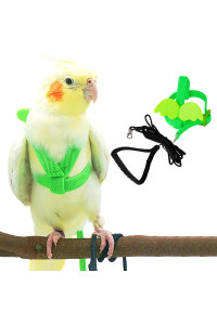 Dnoifne Pet Parrot Bird Harness and Leash, Adjustable Training Design Anti-Bite, Bird Nylon Rope with cute Wing for Parrots, Suitable for Scarlet, Keck, Mini Macaw and Same Size Birds (green)