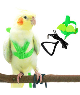 Dnoifne Pet Parrot Bird Harness and Leash, Adjustable Training Design Anti-Bite, Bird Nylon Rope with cute Wing for Parrots, Suitable for Scarlet, Keck, Mini Macaw and Same Size Birds (green)