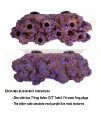 Magnetic Reef Coral Frag Rack Floating Rock Strong Magnets Strong N52 Magnets for 1/2" Glass (Coralline Purple)