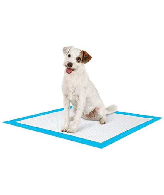 Petco Brand - So Phresh Large Leak Guard Quilted Potty Pads, Count of 50, 50 CT