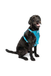 Kurgo Tru-Fit Quick Release Dog Harness - Durable, Everyday Harness for Dogs - Hiking, Walking, Running - Reflective, Quick Release Buckles - Includes Pet Seatbelt - No Pull Training - Blue, XL
