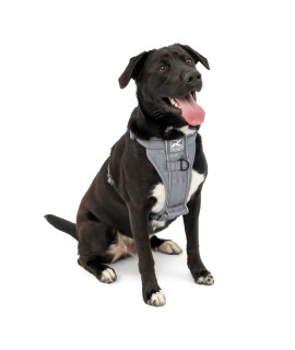 Kurgo Tru-Fit Quick Release Dog Harness - Durable, Everyday Harness for Dogs - Hiking, Walking, Running - Reflective, Quick Release Buckles - Includes Pet Seatbelt - No Pull Training - Gray, XL