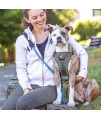 Kurgo Tru-Fit Quick Release Dog Harness - Durable, Everyday Harness for Dogs - Hiking, Walking, Running - Reflective, Quick Release Buckles - Includes Pet Seatbelt - No Pull Training - Gray, XL