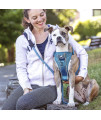 Kurgo Tru-Fit Quick Release Dog Harness - Durable, Everyday Harness for Dogs - Hiking, Walking, Running - Reflective, Quick Release Buckles - Includes Pet Seatbelt - No Pull Training - Blue, XS