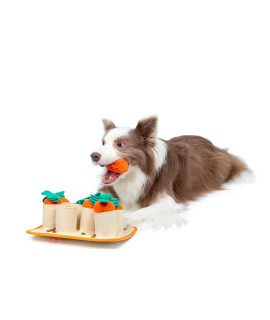 Injoya Carrot Patch Snuffle Toy, Puzzle Dog Toys, Enrichment Tool, Squeaky Dog Toys, Slow Feeder,Durable and Machine Washable,Interactive Fun