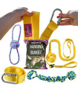 Hanging Bungee Interactive Outdoor Dog, Bungee Retractable Dog Tree Rope Toy, Durable Dog Exercise Equipment, Dog Bungee Tug Toy, Outdoor Dog Toy for Large Dogs and Small Dogs with Chew Ball Rope Toy