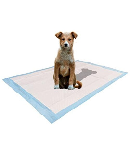 Ultra Absorbent - Leak-Proof Pee Pads for Dogs Rabbits and Cats (5 Layers) with Pheromone Attractant Scent to Improve Potty Training Success - (40 Count) - Large - 24" x 35" by SciencePurchase