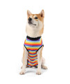 Etdane Recovery Suit For Dog Cat After Surgery Dog Surgical Recovery Onesie Female Male Pet Bodysuit Dog Cone Alternative Abdominal Wounds Protector Rainbow Stripelarge