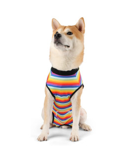 Etdane Recovery Suit For Dog Cat After Surgery Dog Surgical Recovery Onesie Female Male Pet Bodysuit Dog Cone Alternative Abdominal Wounds Protector Rainbow Stripelarge