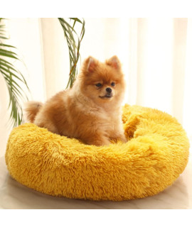 Cat Beds & Furniture,Calming Dog Beds for Small Medium Dogs,Detachable Cat Bed for Indoor Cats, Anti-Slip Faux Fur Fluffy Donut Cuddler Cat Cave, Fits up to 13-40 lbs (M-24*24*7inch, Gold)