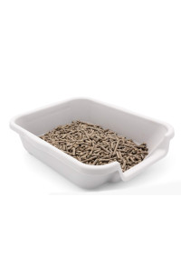 NE14pets KittyGoHere Litter Box Senior Cat Box for Kitties That Can't cope with a Traditional Litter Box (Small, Misty Gray)