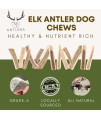 TMR Antlers Elk Antler Dog Chew - Irresistible for Larger Dogs and Aggressive chewers - Split Revealing The Tasty Marrow Inside - Fantastic Treat - Naturally Supporting Clean Teeth (Extra Large)