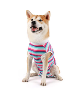 Due Felice Dog Surgery Recovery Suit Pet Surgical Onesie After Surgery Wear for Female Male Dog Recovery collar Alternative BluePink StripeMedium