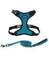 Voyager Step-in Lock Dog Harness w Reflective Dog Leash Combo Set with Neoprene Handle 5ft - Supports Small, Medium and Large Breed Puppies/Cats by Best Pet Supplies - Turquoise/Black Trim, M
