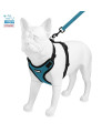 Voyager Step-in Lock Dog Harness w Reflective Dog Leash Combo Set with Neoprene Handle 5ft - Supports Small, Medium and Large Breed Puppies/Cats by Best Pet Supplies - Turquoise/Black Trim, XL