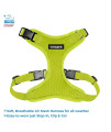 Voyager Step-in Lock Dog Harness with Reflective Dog Leash Combo Set with Neoprene Handle 5ft - Supports Small, Medium and Large Breed Puppies/Cats by Best Pet Supplies - Lime Green, M