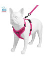 Voyager Step-in Lock Dog Harness w Reflective Dog Leash Combo Set with Neoprene Handle 5ft - Supports Small, Medium and Large Breed Puppies/Cats by Best Pet Supplies - Fuchsia, XS