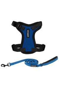 Voyager Step-in Lock Dog Harness W Reflective Dog Leash Combo Set with Neoprene Handle 5ft - Supports Small, Medium and Large Breed Puppies/Cats by Best Pet Supplies - Royal Blue/Black Trim, XXS