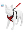 Voyager Step-in Lock Dog Harness w Reflective Dog Leash Combo Set with Neoprene Handle 5ft - Supports Small, Medium and Large Breed Puppies/Cats by Best Pet Supplies - Red/Black Trim, XS