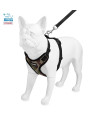 Voyager Step-in Lock Dog Harness w Reflective Dog Leash Combo Set with Neoprene Handle 5ft - Supports Small, Medium and Large Breed Puppies/Cats by Best Pet Supplies - Army/Black Trim, S