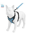 Voyager Step-in Lock Dog Harness w Reflective Dog Leash Combo Set with Neoprene Handle 5ft - Supports Small, Medium and Large Breed Puppies/Cats by Best Pet Supplies - Baby Blue/Black Trim, M