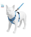 Voyager Step-in Lock Dog Harness w Reflective Dog Leash Combo Set with Neoprene Handle 5ft - Supports Small, Medium and Large Breed Puppies/Cats by Best Pet Supplies - Baby Blue, S