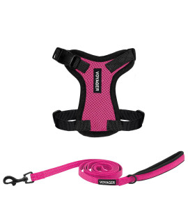 Voyager Step-in Lock Dog Harness w Reflective Dog Leash Combo Set with Neoprene Handle 5ft - Supports Small, Medium and Large Breed Puppies/Cats by Best Pet Supplies - Fuchsia/Black Trim, XXS