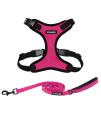 Voyager Step-in Lock Dog Harness w Reflective Dog Leash Combo Set with Neoprene Handle 5ft - Supports Small, Medium and Large Breed Puppies/Cats by Best Pet Supplies - Fuchsia/Black Trim, XS.
