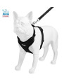 Voyager Step-in Lock Dog Harness W Reflective Dog Leash Combo Set with Neoprene Handle 5ft - Supports Small, Medium and Large Breed Puppies/Cats by Best Pet Supplies - Black, S