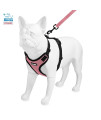 Voyager Step-in Lock Dog Harness with Reflective Dog Leash Combo Set with Neoprene Handle 5ft - Supports Small, Medium and Large Breed Puppies/Cats by Best Pet Supplies - Pink/Black Trim, S