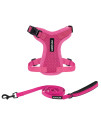Voyager Step-in Lock Dog Harness w Reflective Dog Leash Combo Set with Neoprene Handle 5ft - Supports Small, Medium and Large Breed Puppies/Cats by Best Pet Supplies - Fuchsia, XXS