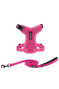 Voyager Step-in Lock Dog Harness w Reflective Dog Leash Combo Set with Neoprene Handle 5ft - Supports Small, Medium and Large Breed Puppies/Cats by Best Pet Supplies - Fuchsia, XXS