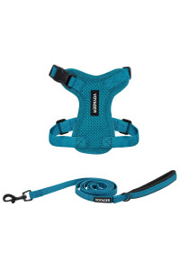 Voyager Step-in Lock Dog Harness w Reflective Dog Leash Combo Set with Neoprene Handle 5ft - Supports Small, Medium and Large Breed Puppies/Cats by Best Pet Supplies - Turquoise, XXS