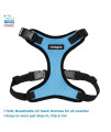 Voyager Step-in Lock Dog Harness W Reflective Dog Leash Combo Set with Neoprene Handle 5ft - Supports Small, Medium and Large Breed Puppies/Cats by Best Pet Supplies - Baby Blue/Black Trim, S