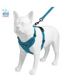 Voyager Step-in Lock Dog Harness w Reflective Dog Leash Combo Set with Neoprene Handle 5ft - Supports Small, Medium and Large Breed Puppies/Cats by Best Pet Supplies - Turquoise, S
