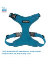 Voyager Step-in Lock Dog Harness w Reflective Dog Leash Combo Set with Neoprene Handle 5ft - Supports Small, Medium and Large Breed Puppies/Cats by Best Pet Supplies - Turquoise, XS