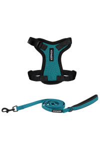 Voyager Step-in Lock Dog Harness w Reflective Dog Leash Combo Set with Neoprene Handle 5ft - Supports Small, Medium and Large Breed Puppies/Cats by Best Pet Supplies - Turquoise/Black Trim, XXS